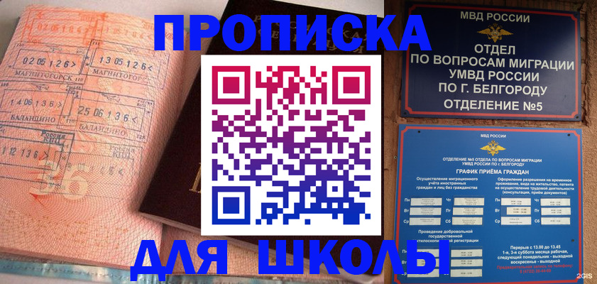 прописка иностранных граждан в Тайге